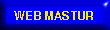 Web Mastur